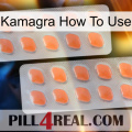 Kamagra How To Use 27